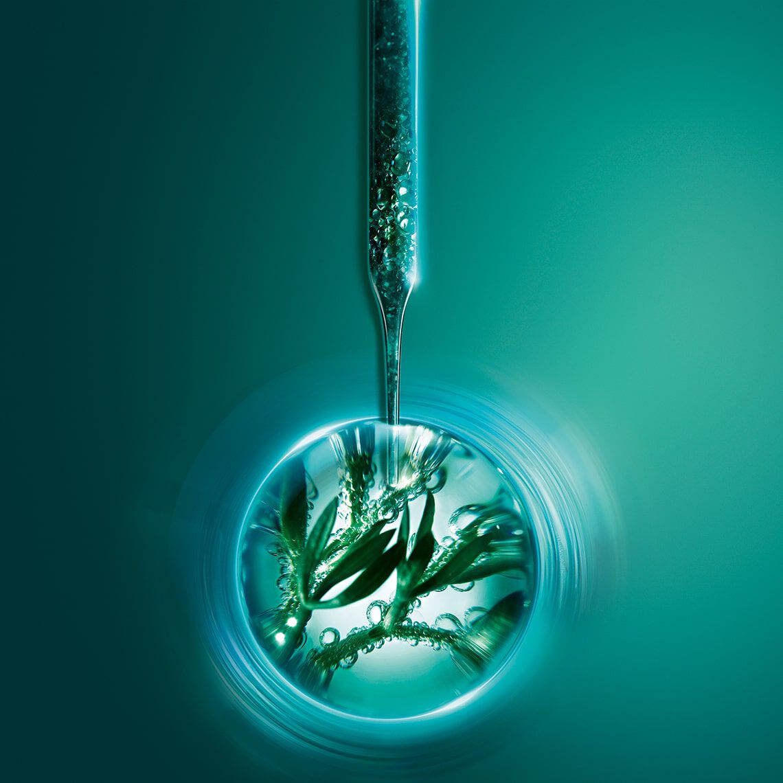 P.C. スキンミュニティ クリーム