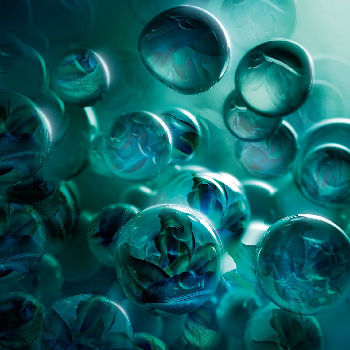 P.C. スキンミュニティ クリーム