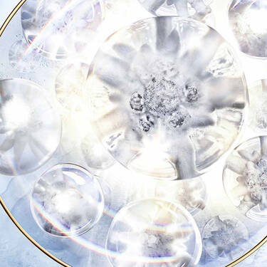 スイス アルプスのホワイト ダイアモンド、エーデルワイス山の頂に、色あせることなく、毎年花を咲かせる多年生の植物エーデルワイス。高度3,000mの、強い紫外線、低酸素、低気圧、そして激しい気温変化、といった過酷な環境で生き続ける、そのたぐいまれなる強さには秘密がありました。